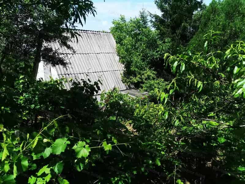 Ságvári présház eladó 2800 m2-es telken