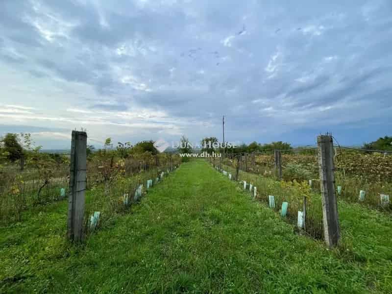 Panorámás Süttői Zártkerti Telek Hétvégi Házzal Eladó