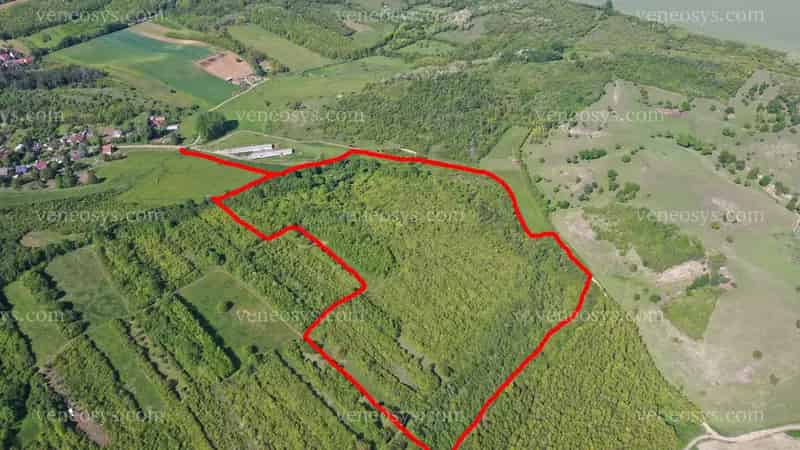 Befektetés Nógrád szívében 75 000 m2-es telek eladó