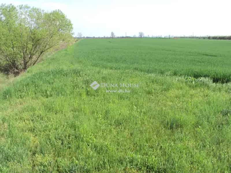 Polgárdi belterületi telek eladó 1594 m2 16 m utcafronttal