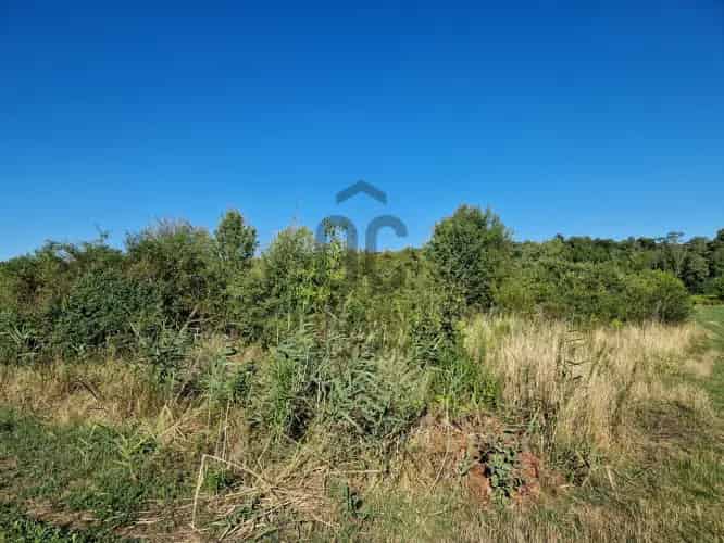 Budakeszi eladó mezőgazdasági ingatlan 8325 m²