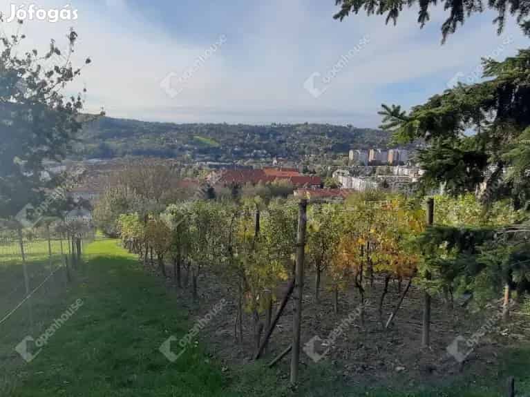 Örökpanorámás telek eladó Jánka hegyen