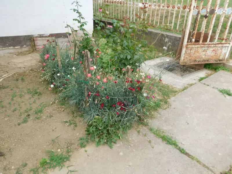 Karádon 1804m2 Telek Elado Rossz Allapotu Hazzal