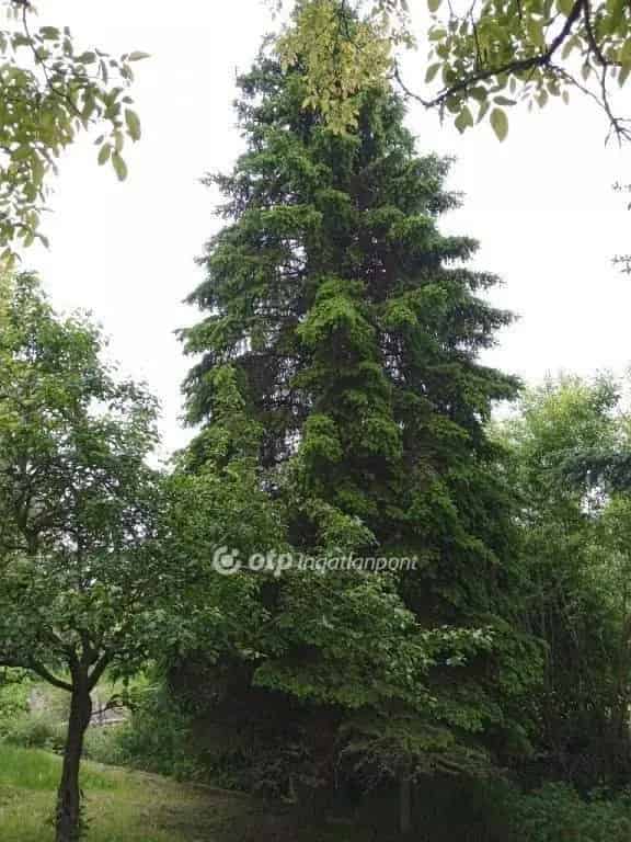 Városlőd 2124 m2-es Telek Eladó - Kulcsosház Turisztikai Lehetőséggel