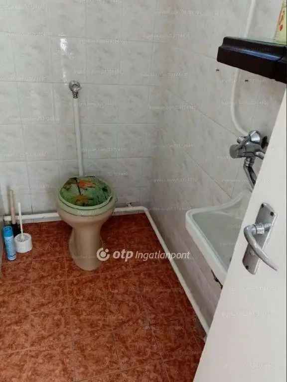 Hajdúböszörményi családi ház eladó - 2+1 szobás, 720m2 telekkel