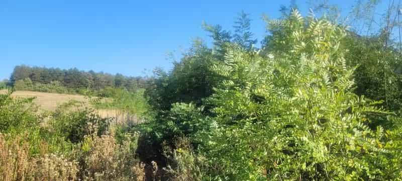 Telek Kiadó , Gödöllői járás, Közép-Magyarország