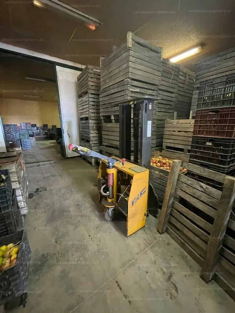 11 7 ha-os vegyes gyumolcsfa ultetveny elado gepekkel es epitmennyel