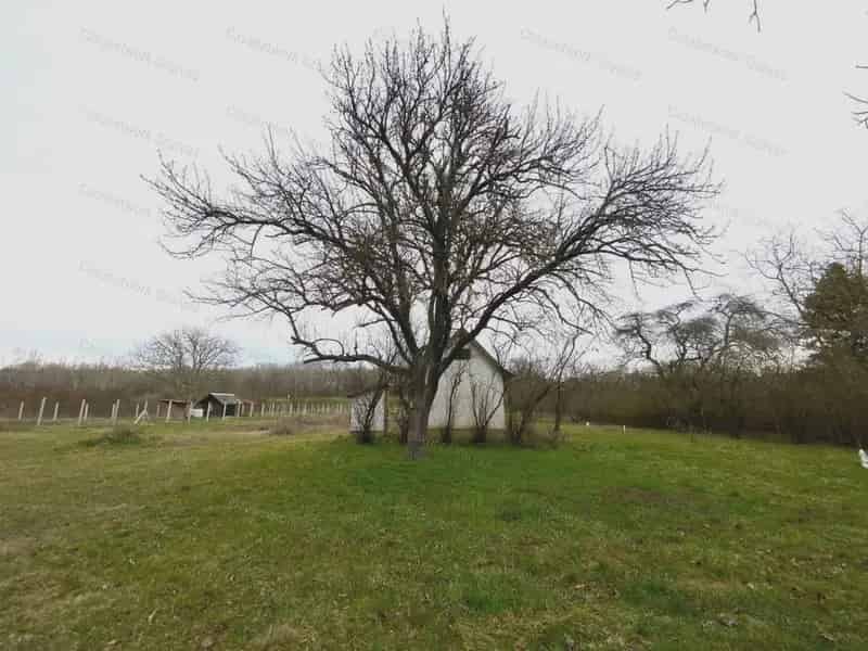 Gyomaendrődön eladó 3902 m2-es telek gazdasági épülettel