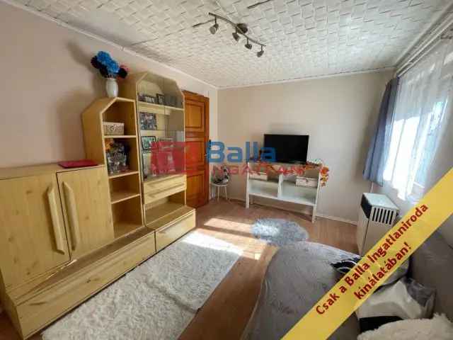 Beloiannisz családi ház eladó - 5 szoba, 913 m² telek, Falusi CSOK