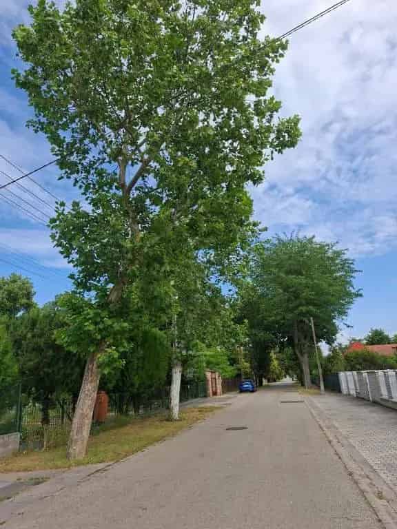 Felújítandó családi ház Rákoshegyen 79 nm 725 nm telekkel