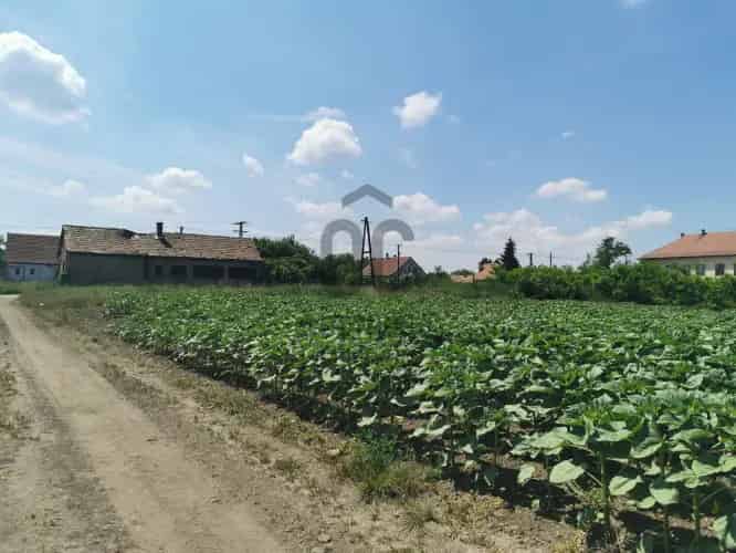 Tiszacsege Telek Elado 3000 nm Befektetőknek Idealis