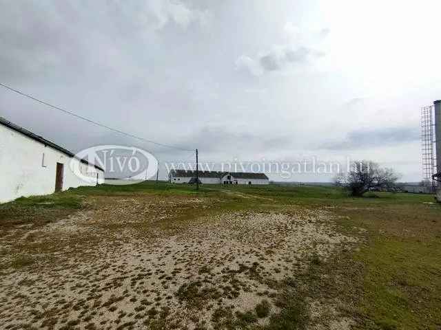 Gyulafirátóti Baromfi Telep Eladó - 1870 m2 - 3 Épület