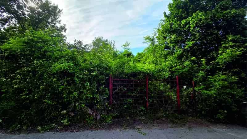 Telek Kiadó , Budapest, Közép-Magyarország