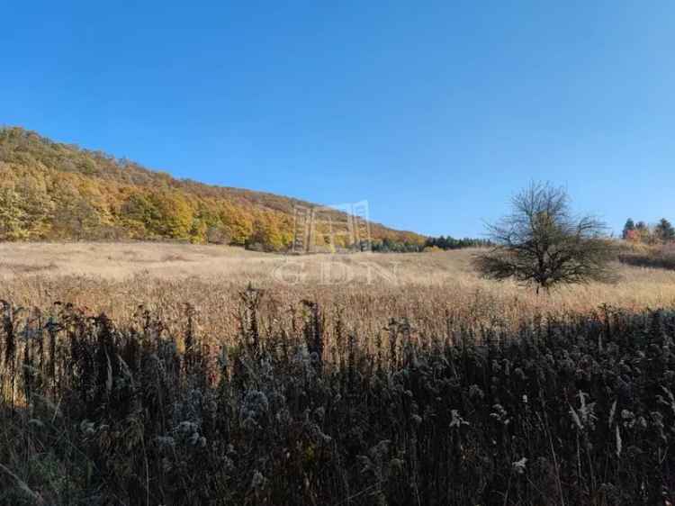 Telek Kiadó in Tatabányai járás, Dunántúl