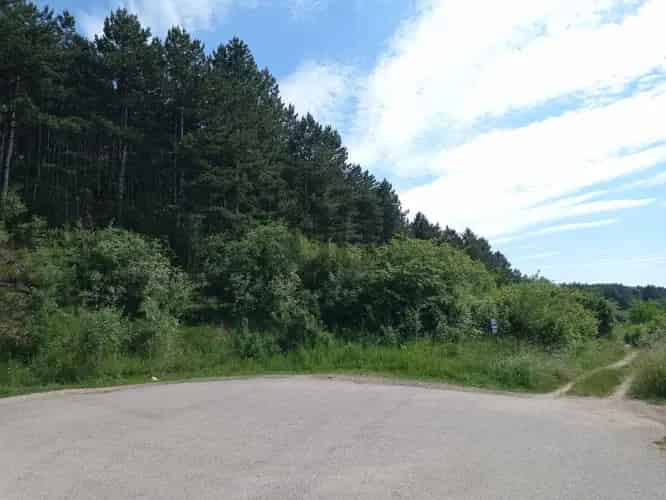 Litér eladó erdő 37000 m2