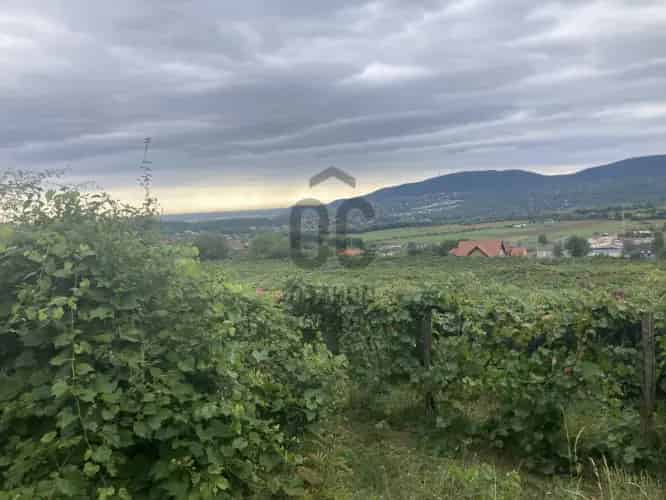 Pilisborosjenői Szőlő 1556nm Présházzal Eladó