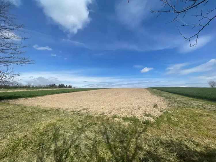 Felujitando csalad ház fél hektáros telekkel panorámával Szakcs