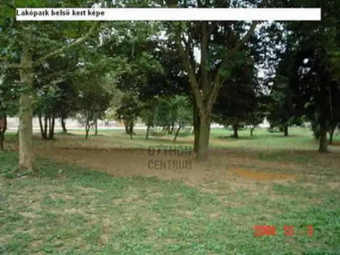 Zalaegerszegi 9000 m2-es Befektetői Telek eladó