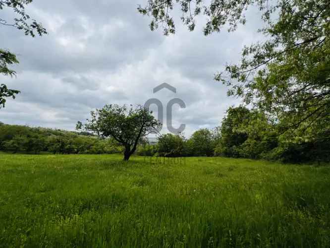 Eladó telek Kötcsén, erdővel ölelve, panorámás természeti adottságokkal