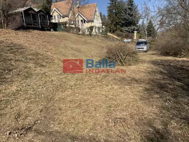 Leanyfalu családi ház eladó 400m2 7 2 félszobás 4500m2 telekkel