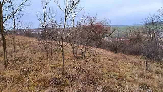 1021m2-es kert eladó Leányváron