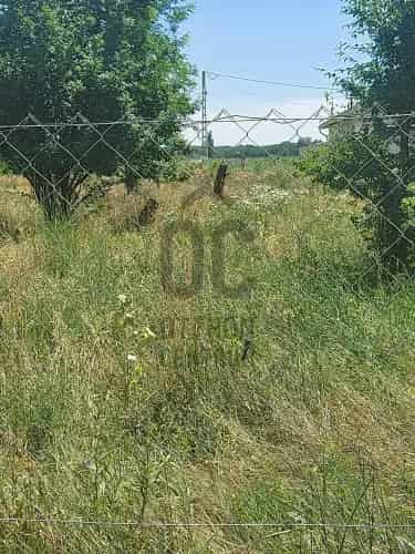Tököli építési telek eladó - 778 nm - csendes zöldövezet