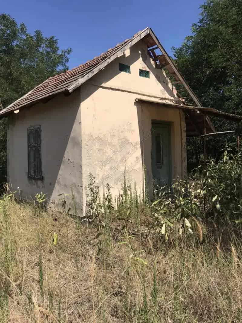 Csongrád-Bokros 3833 m2-es akácos erdő és gazdasági épület