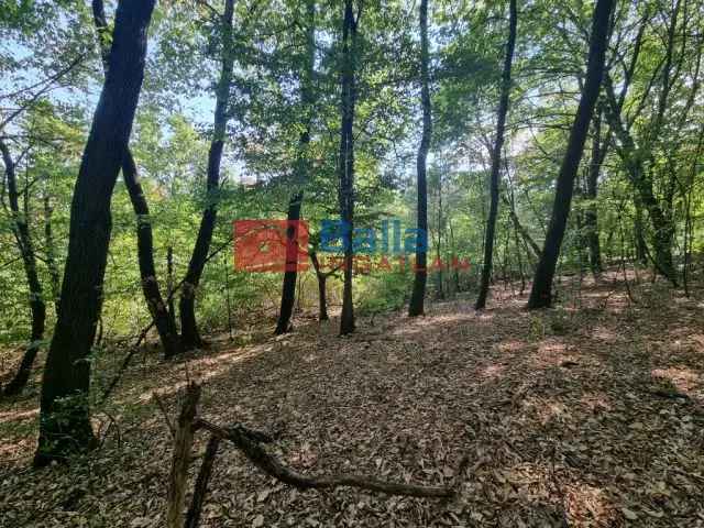 Eladó telek Kismaroson 1404 m2 Börzsöny