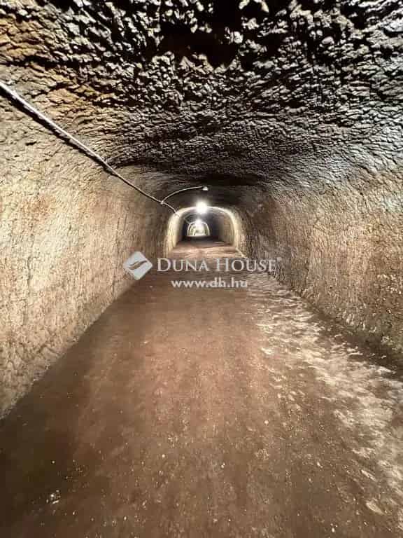 200 méter hosszú pincerendszer eladó Miskolcon