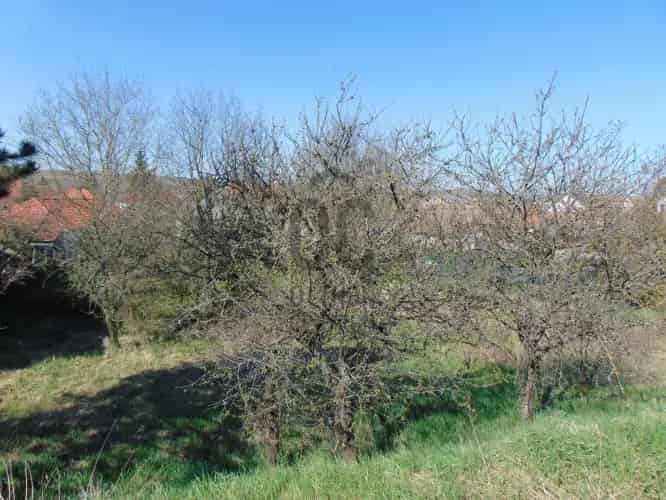 Andornaktálya Eger kozel 933 nm-es epitkezesi telek elado