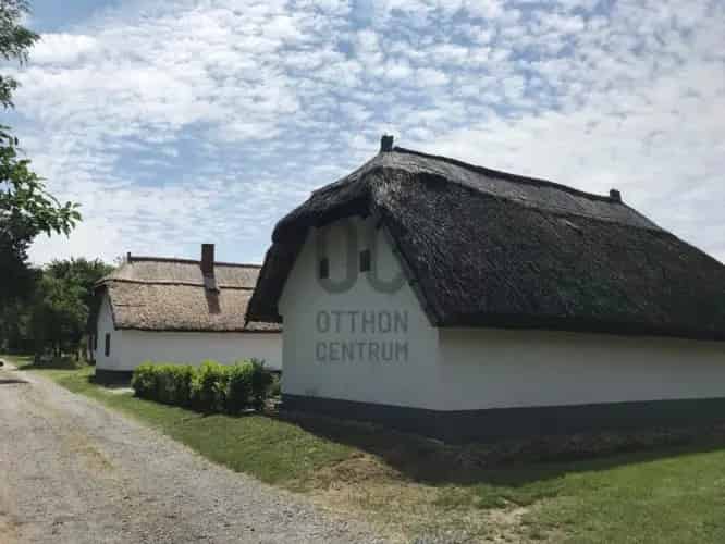 Buzsáki eladó nádfedeles parasztház 1557 m2 telekkel