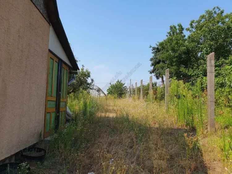 Szentesi zártkert eladó két faházzal