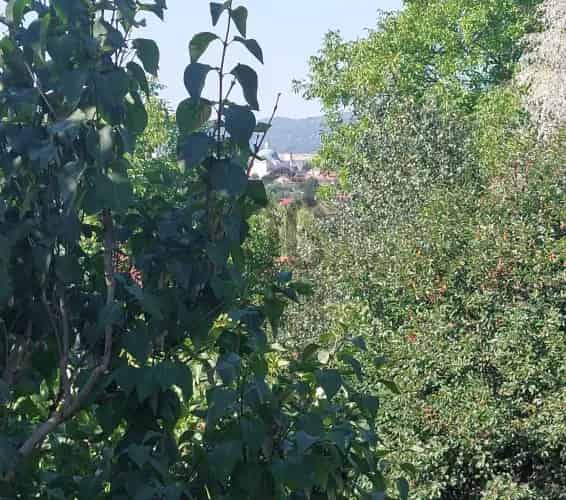 Váci építési telek eladó - 910 m2 - panorámás