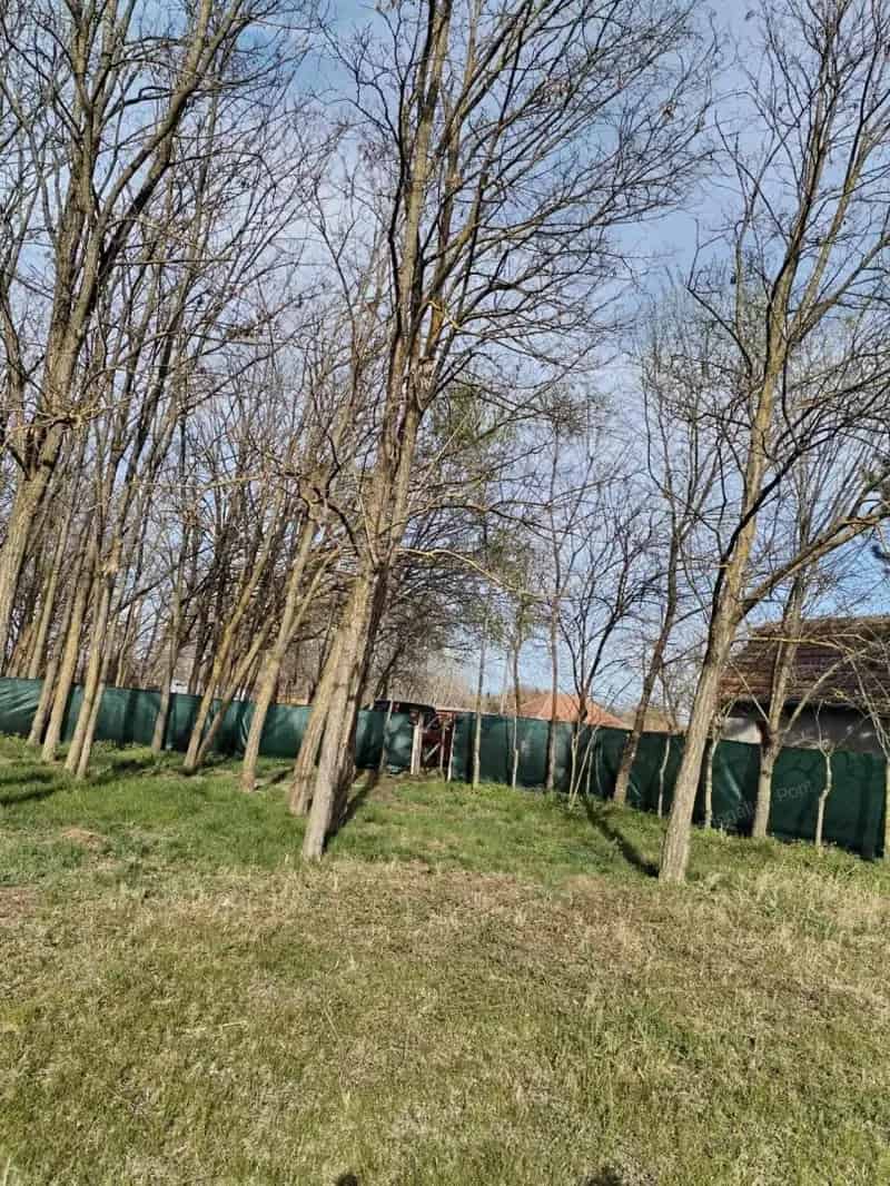 Hetényegyháza Belsőnyír 2 szobás gazdasági épület eladó 6478 nm telekkel