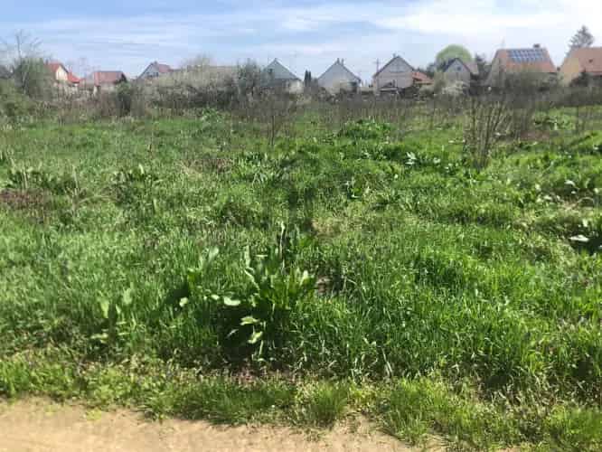 Vásárosnaményi telkek eladó 4634 m2