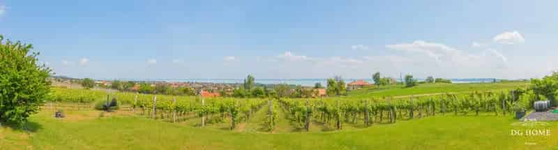 Csodálatos Balatoni Panorámás Ház Csopakon
