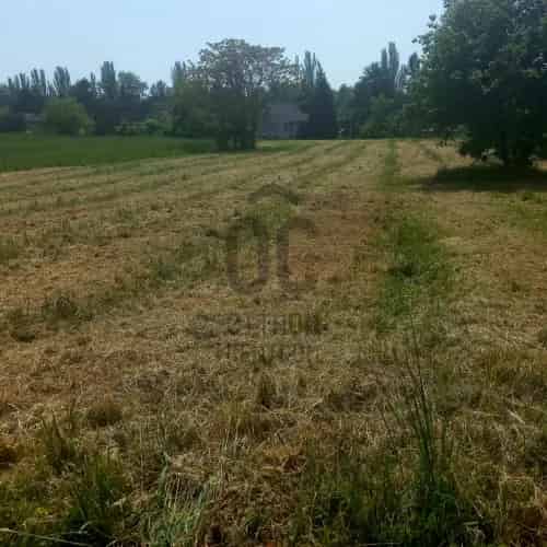 Révfülöpi telek eladó 914 nm - Balaton parti ingatlan