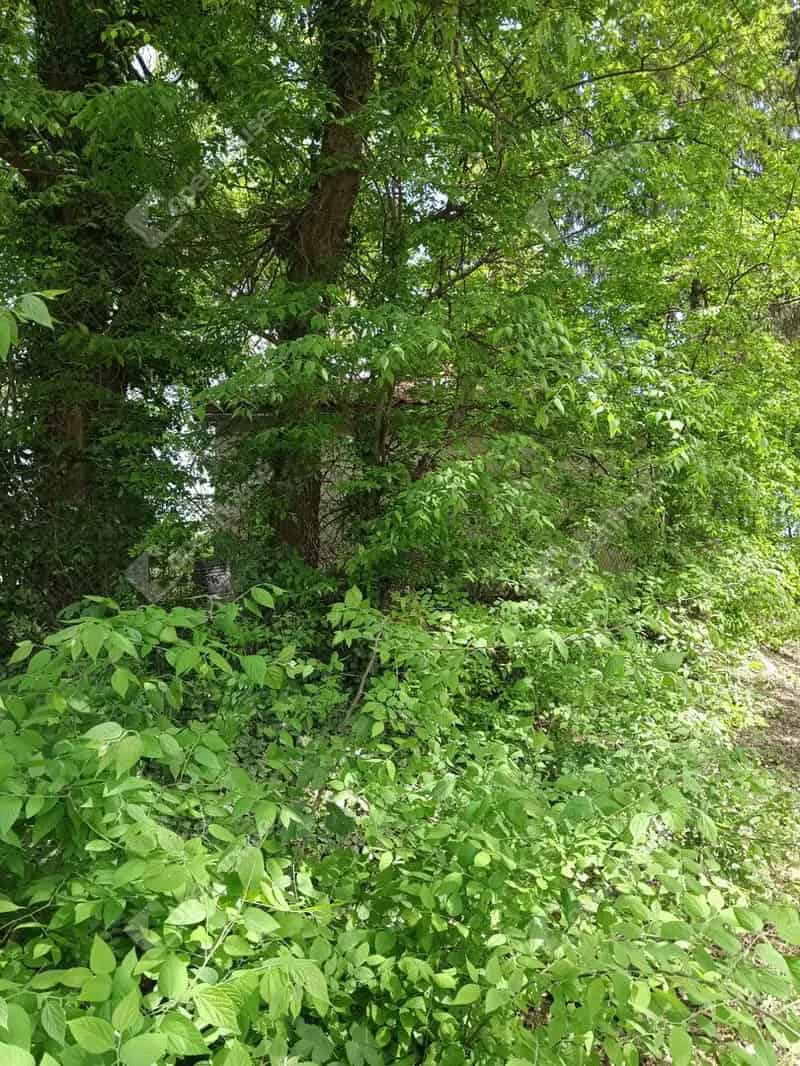 Monorierdői telek eladó 775 m2 faházzal
