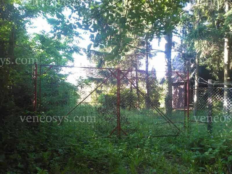 Kőszegi faház felújítandó 2724m2 telken