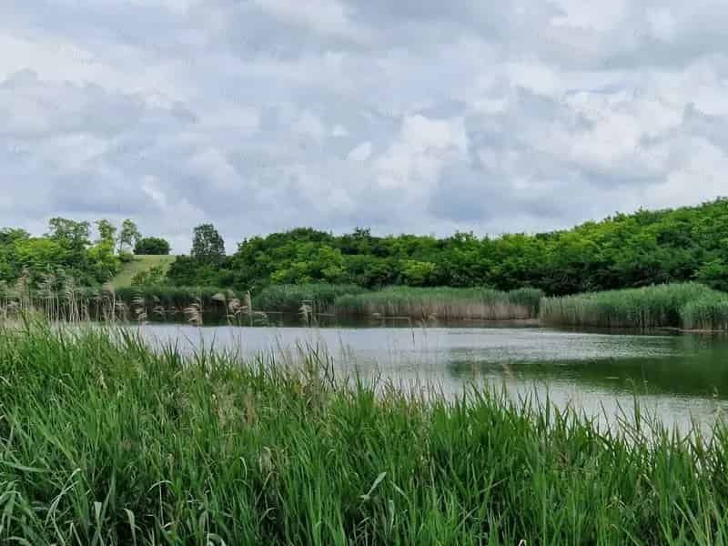 Mezőszilas 39 hektáros birtok halastóval eladó