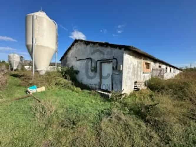 Mocsai eladó gazdasági ingatlan 5288 m2 2 sertésól