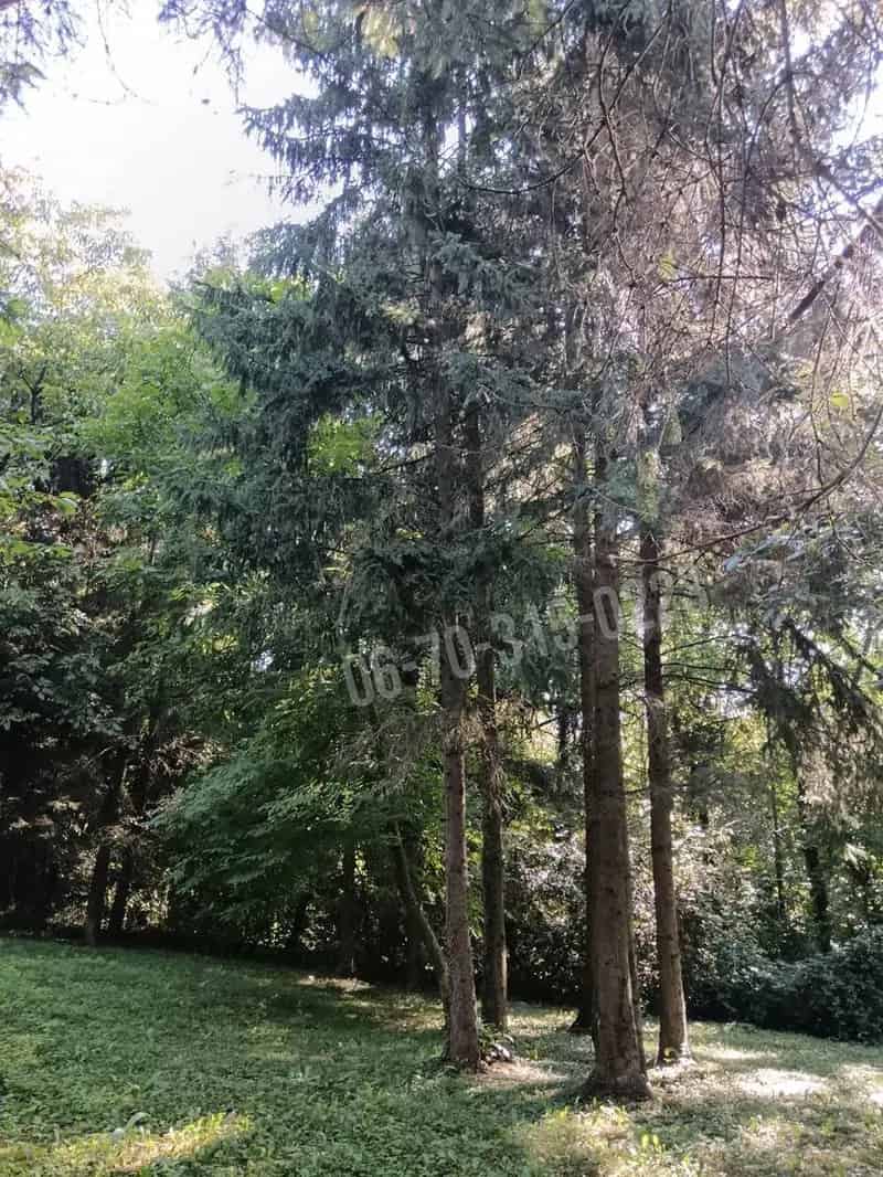 1721 m2-es telek eladó Tornyiszentmiklóson