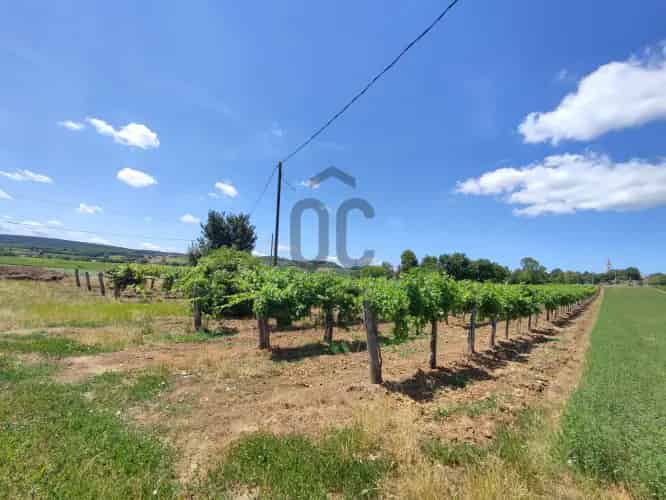 Szentjakabfai telek eladó - Balatoni panoráma