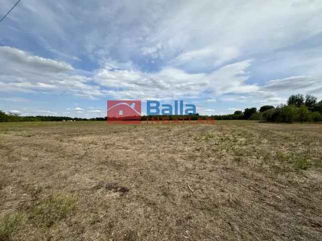 Felsőlajos Telek Eladó 64000 m2
