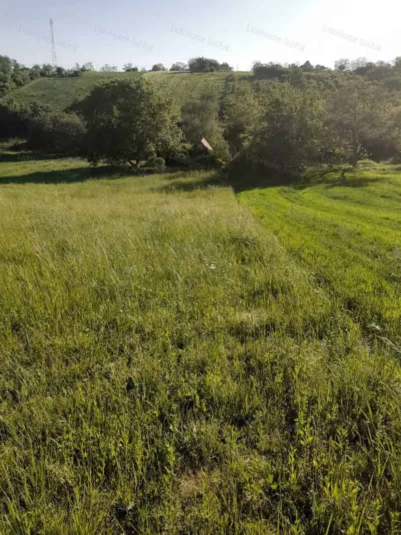 Bálványosi zártkert eladó 10247 m2 présházzal