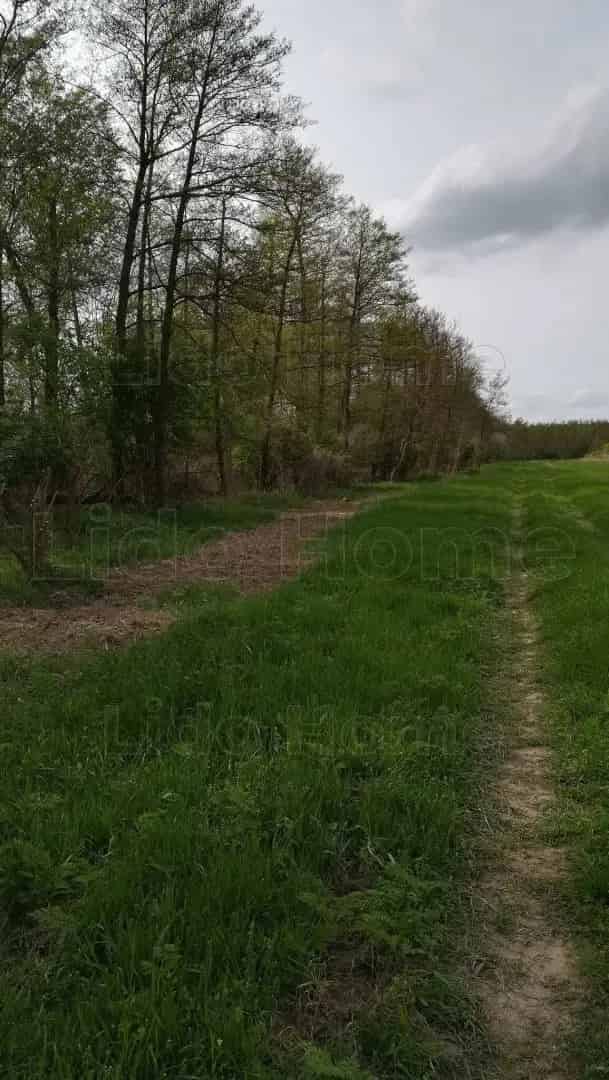 Ádándi erdő eladó 161 862 m2 - 83 000 m2 üzemtervezett