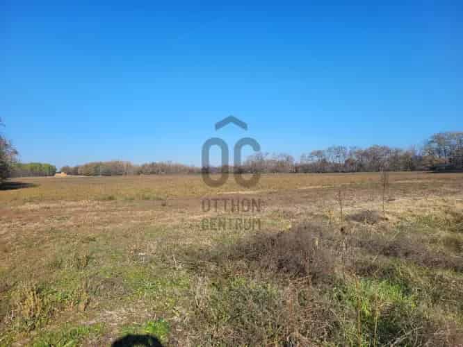 Pilis eladó mezőgazdasági ingatlan 8642 m2