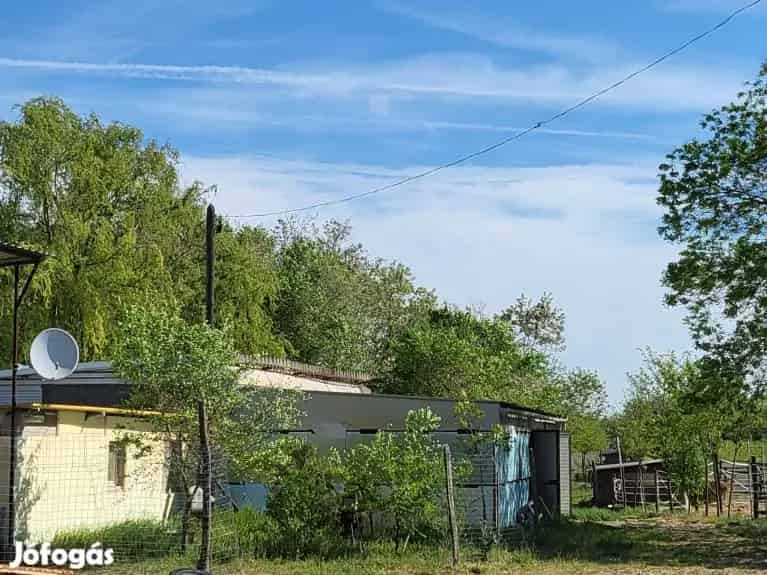 14694 m2-es Állattartó Telep Eladó Kiskunhalason
