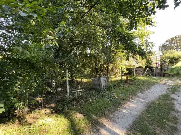 Telek Kiadó , Szigetvári utca, Kaposvár, Dunántúl