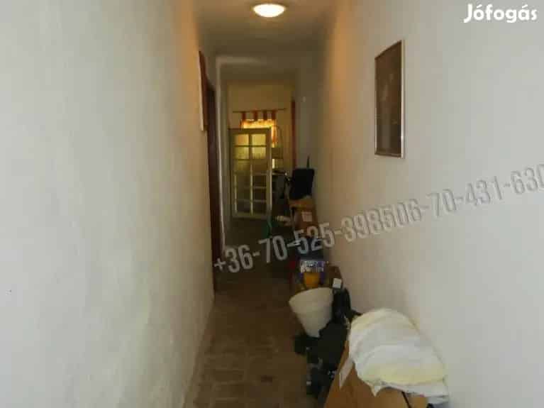 Albertirsa Tanya Elado Patak Kozelben Zoldovezeti Teruleten